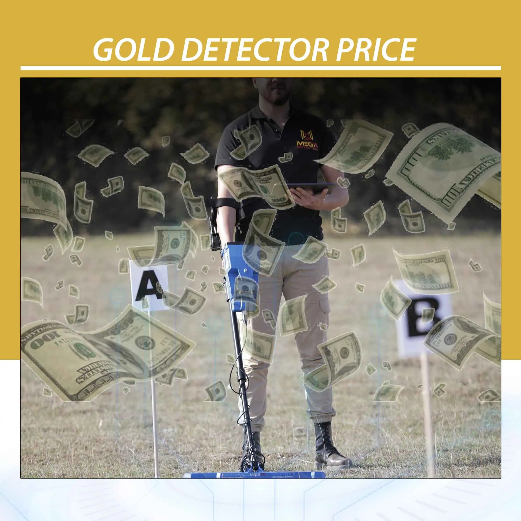 Gold Detector Price