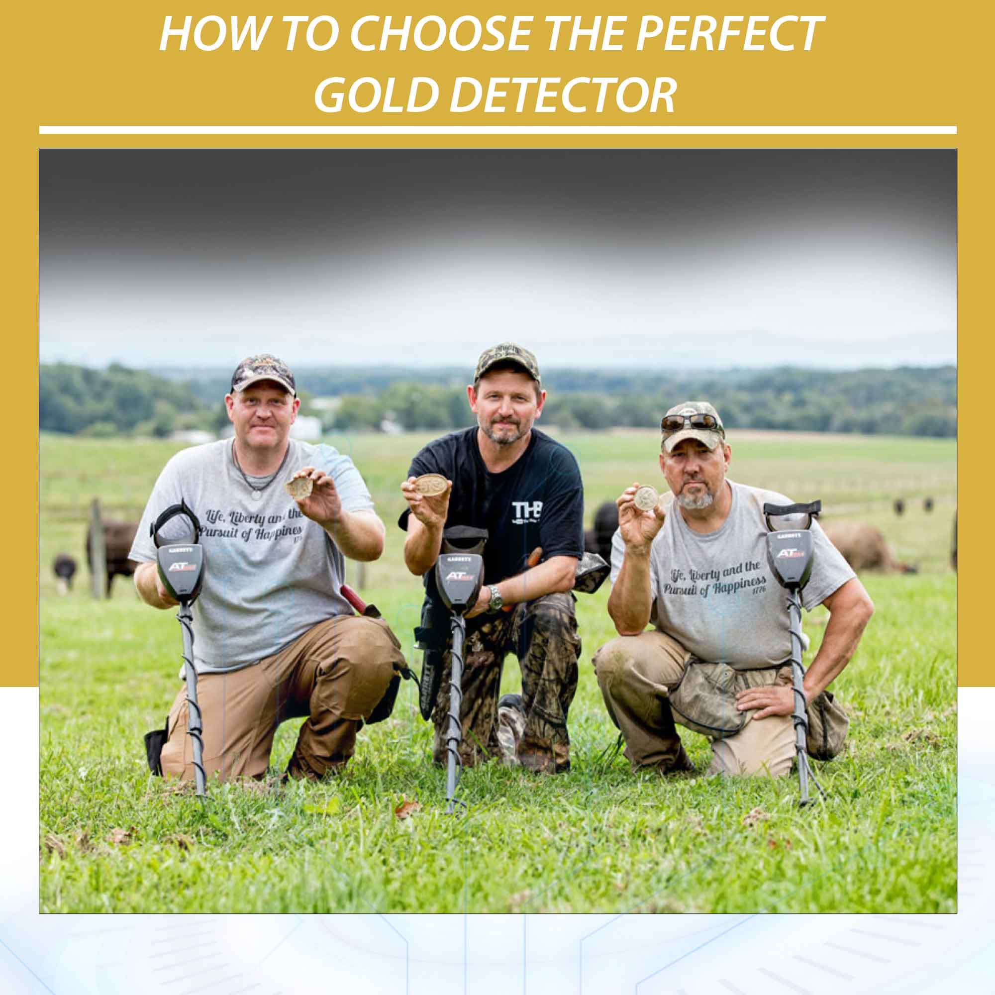 How to choose the perfect gold detector