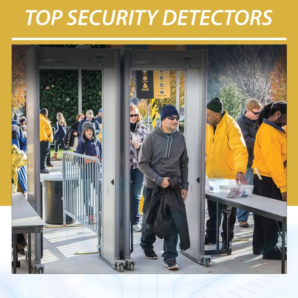 Security Detectors
