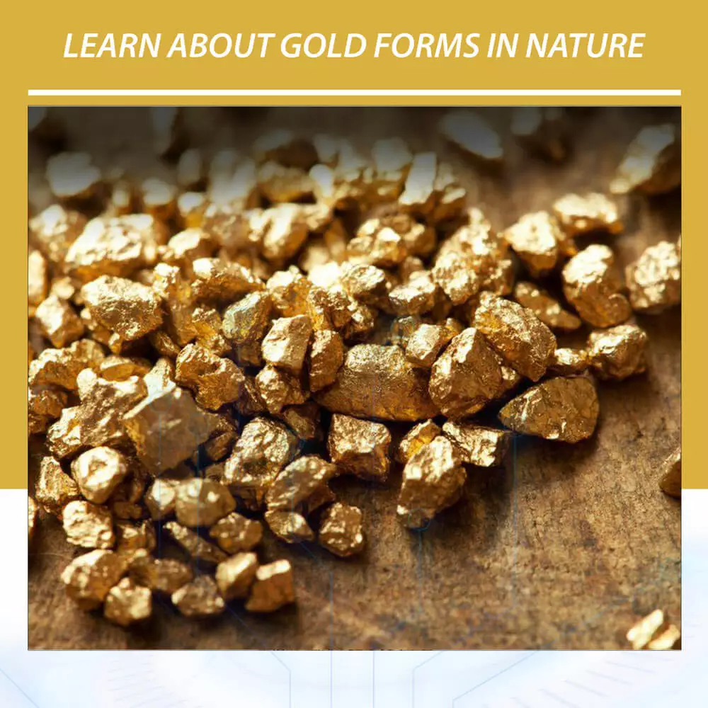 Learn about gold forms in nature