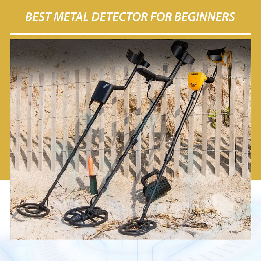 Best Metal Detector for Beginners