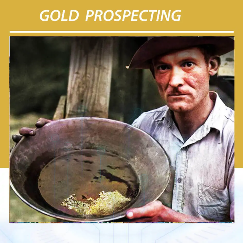 Gold Prospecting