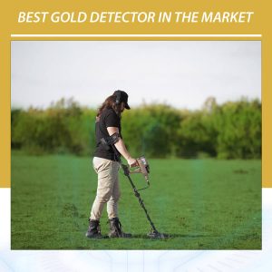 Best Gold Detector In The Market
