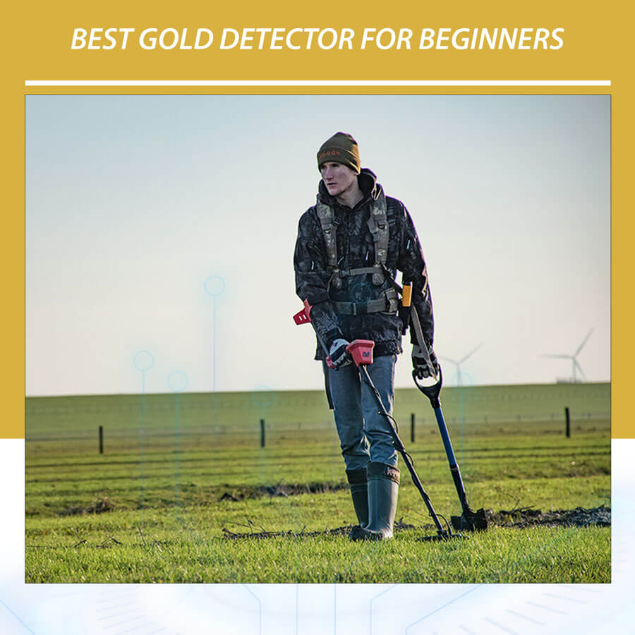 Best Gold Detector for Beginners