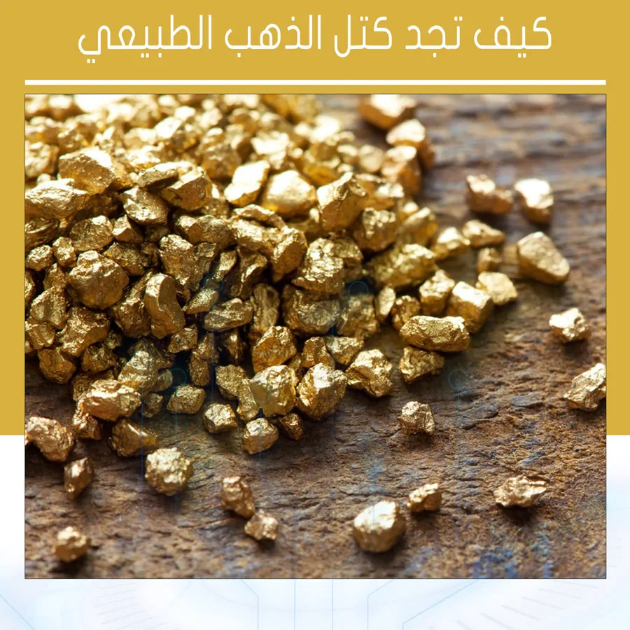 التنقيب عن الذهب