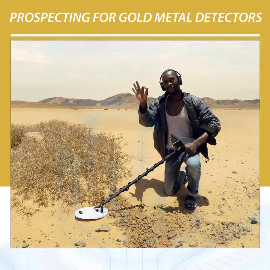 Prospecting for Gold Metal Detectors