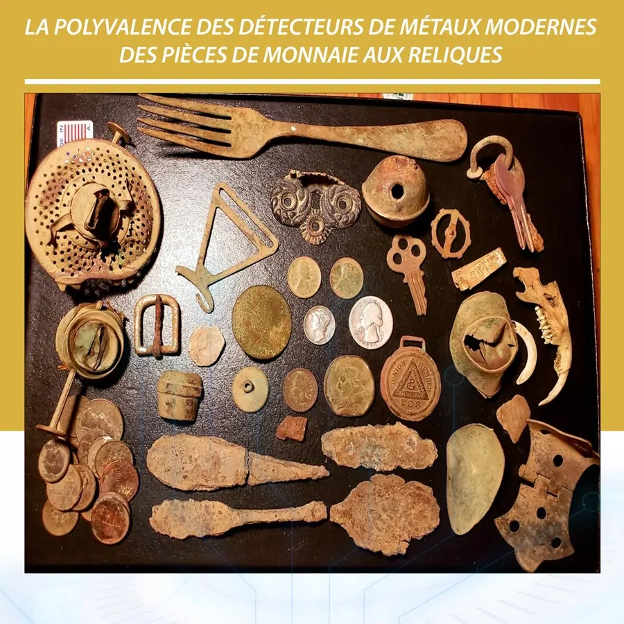 La-polyvalence-des-détecteurs-de-métaux-modernes,-des-pièces-de-monnaie-aux-reliques