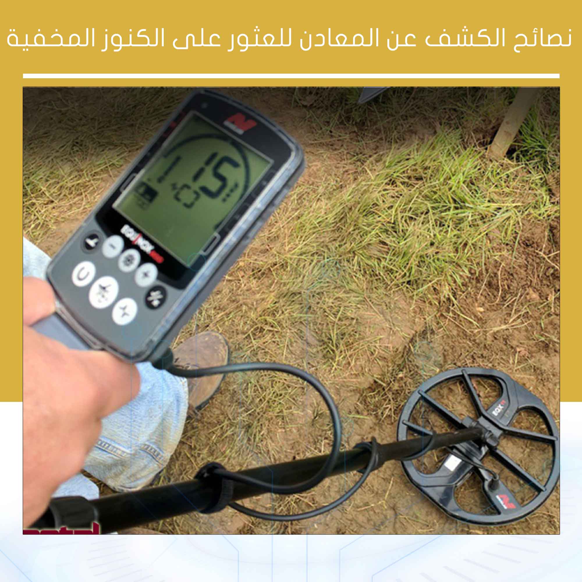 استكشاف الكنوز المخفية: نصائح احترافية للمبتدئين