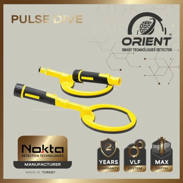 CTX 3030 Metal Detector | Powerful Treasure Detector