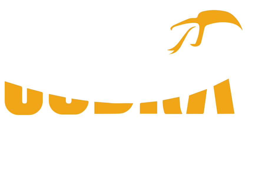 Cobra GX 8000 Plus