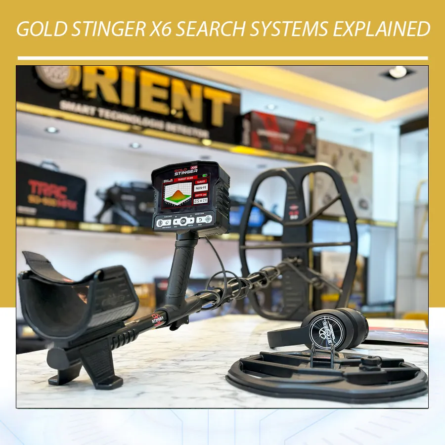 Gold Stinger X6 Search Systems Explained