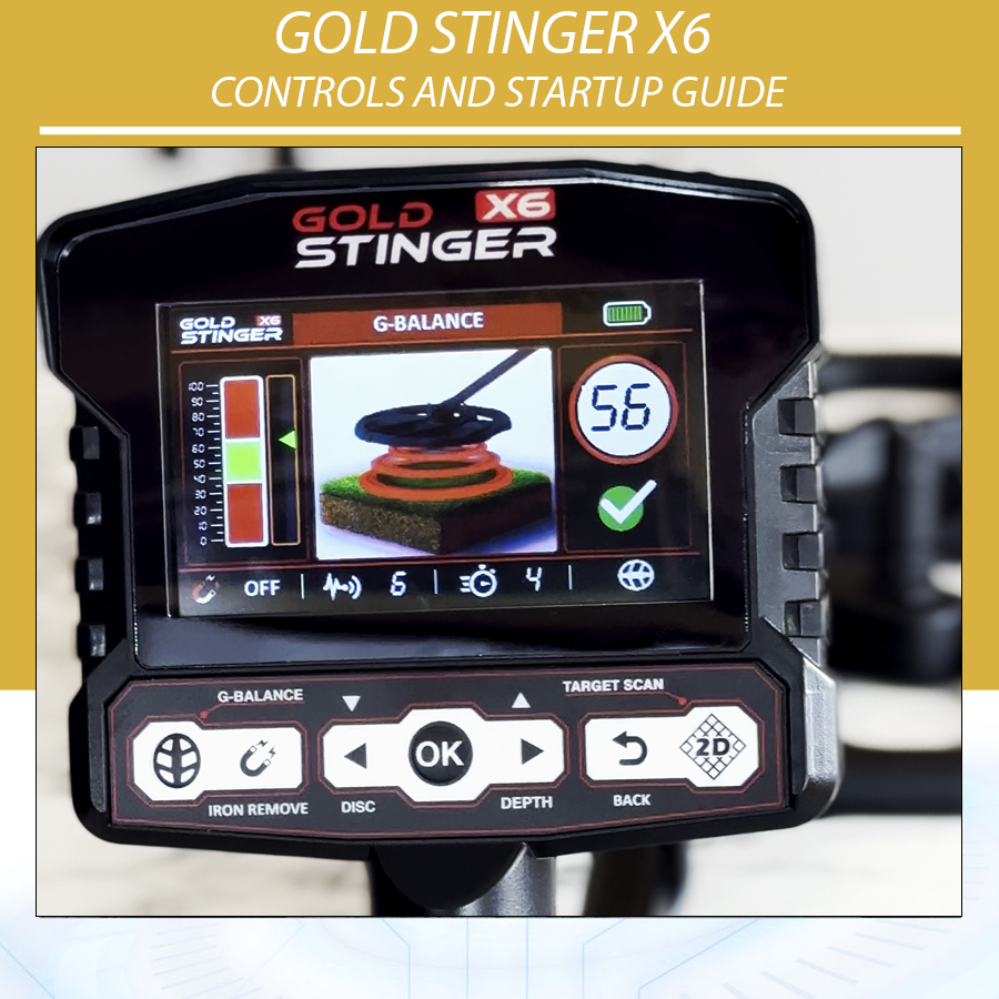 Gold Stinger X6 Controls and Startup Guide
